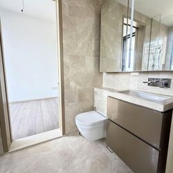 Klimt Cairnhill (D9), Apartment #532251231
